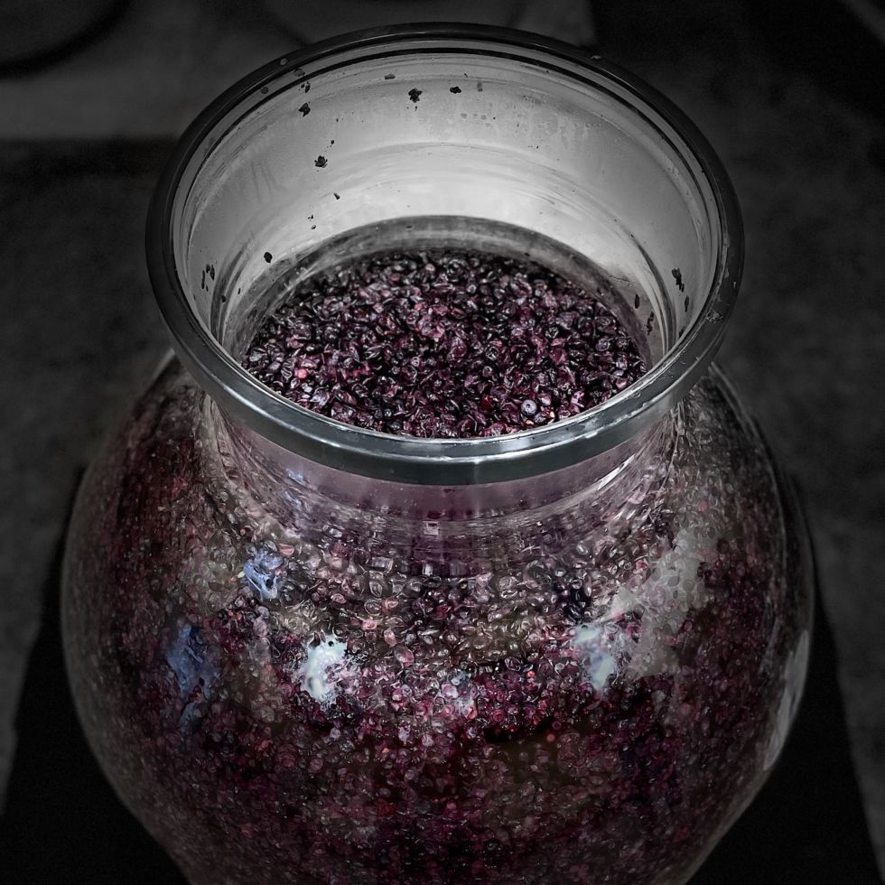 Wineglobe Le verre pour préserver l'éclat des vins