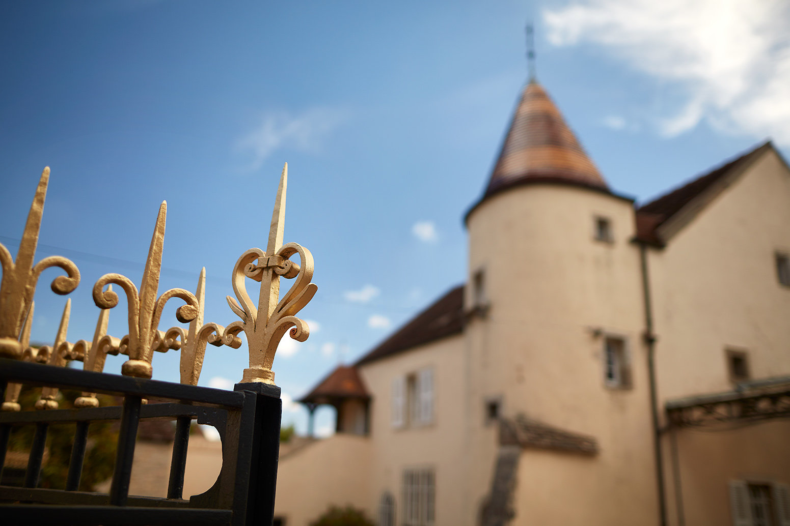 Domaine Perrot-Minot | Wineglobe, cuve en verre pour le vin Domaine Perrot-Minot | Wineglobe, cuve en verre pour le vin