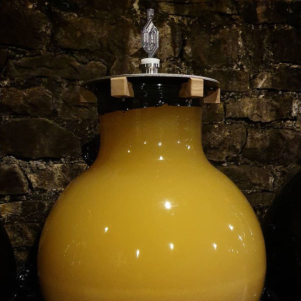 Wineglobe Cuve en verre pour élaborer les vins de notre siècle