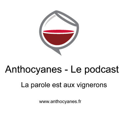 ANTOCYANES PODCAST – NOV. 2020