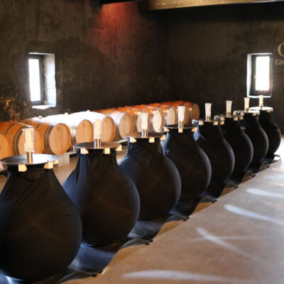 Comment gérer la lumière pendant l’élevage de vos vins en Wineglobe ?