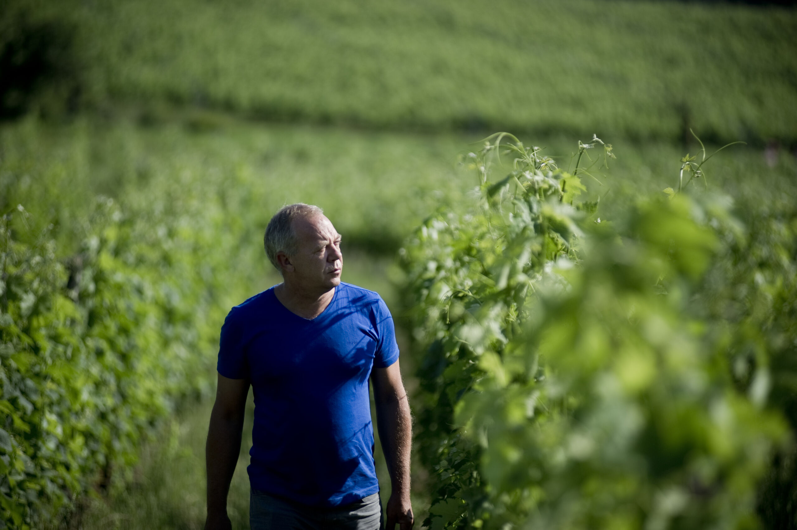 Derenoncourt | Wineglobe, cuve en verre pour le vin