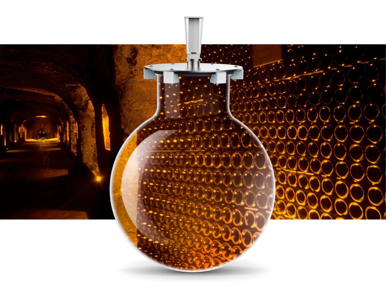 The grape's truth Wineglobe