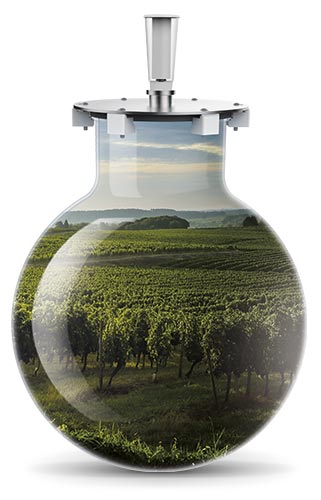 Cuve en verre Wineglobe