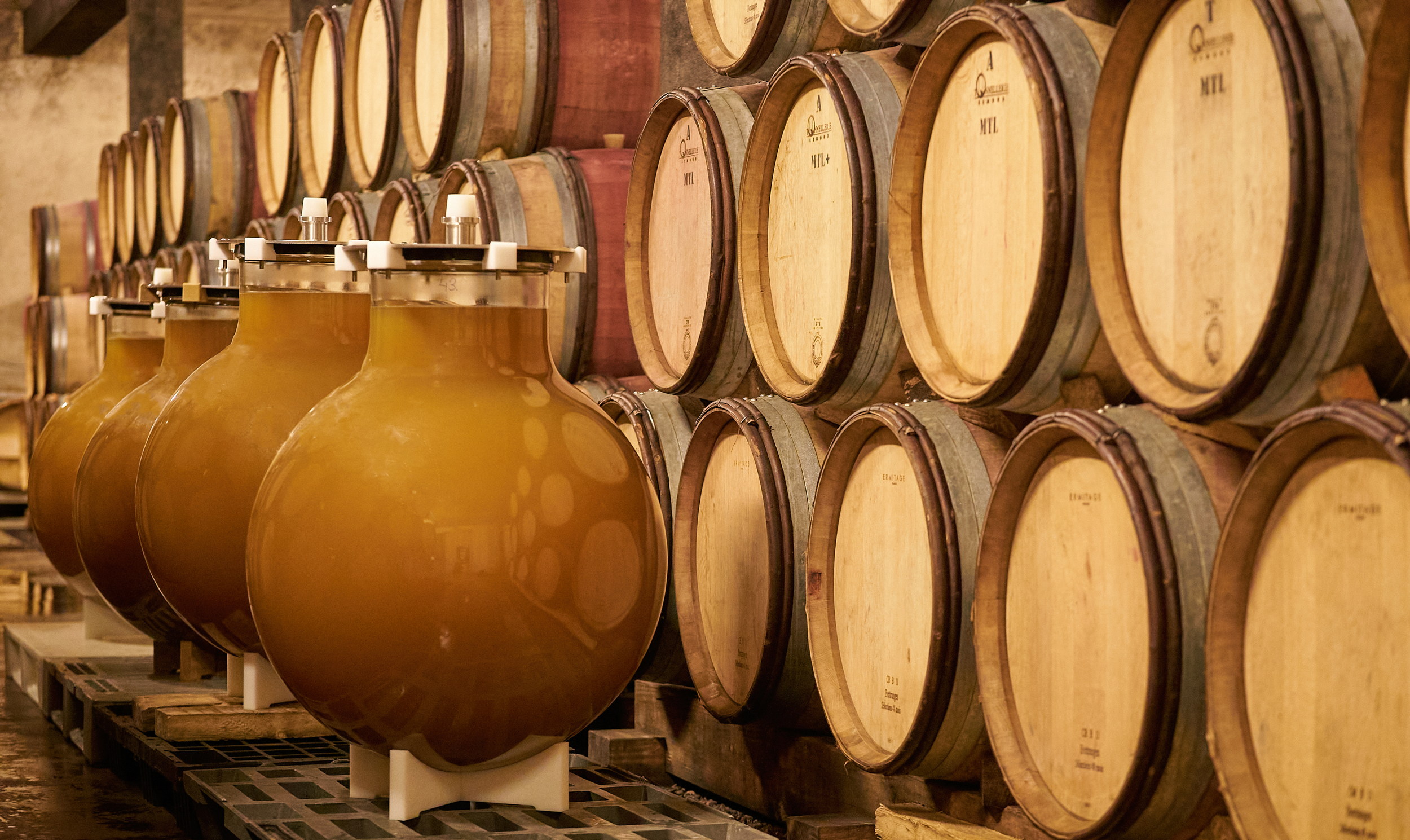 wineglobe-paetzold-verre